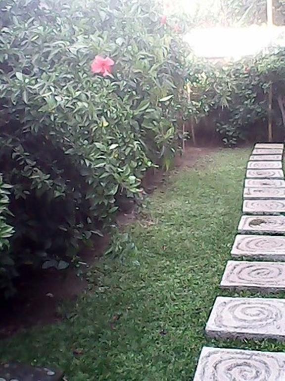 Bali Sari Homestay Amed Exterior foto